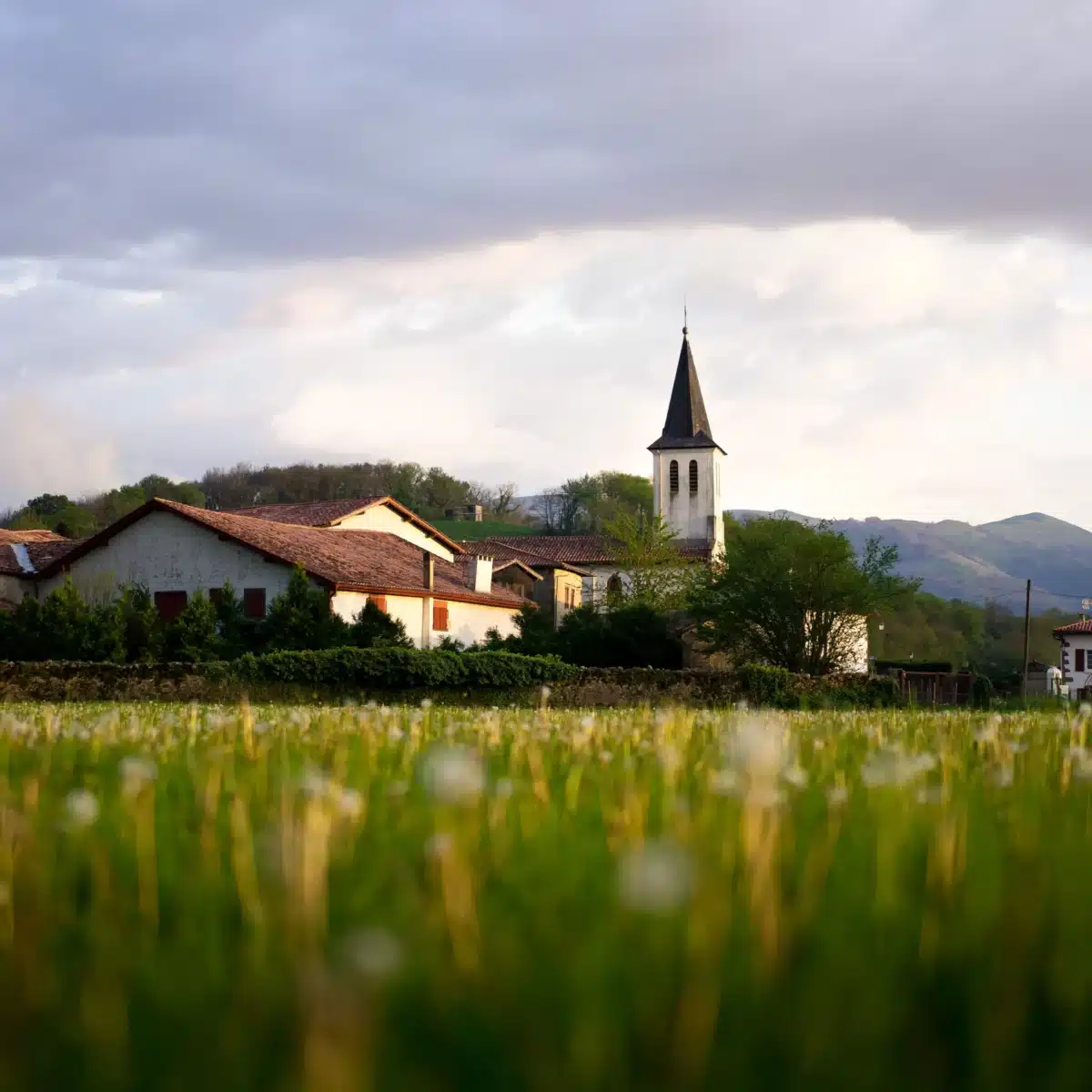 Ein Bild von einer Kirche in einer Gemeinde.