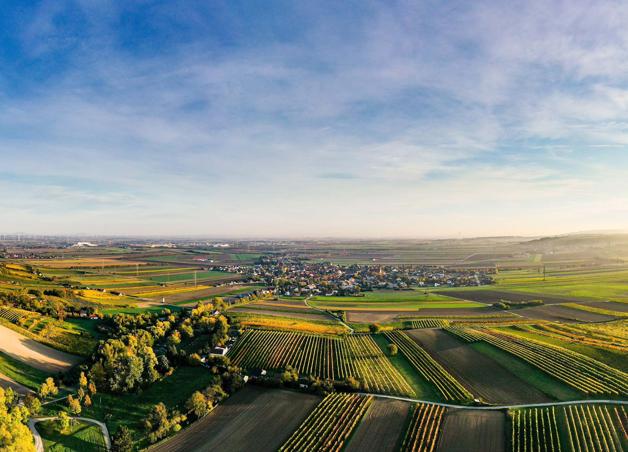 Bild einer Landschaft mit Feldern und Häuser im Hintergrund.