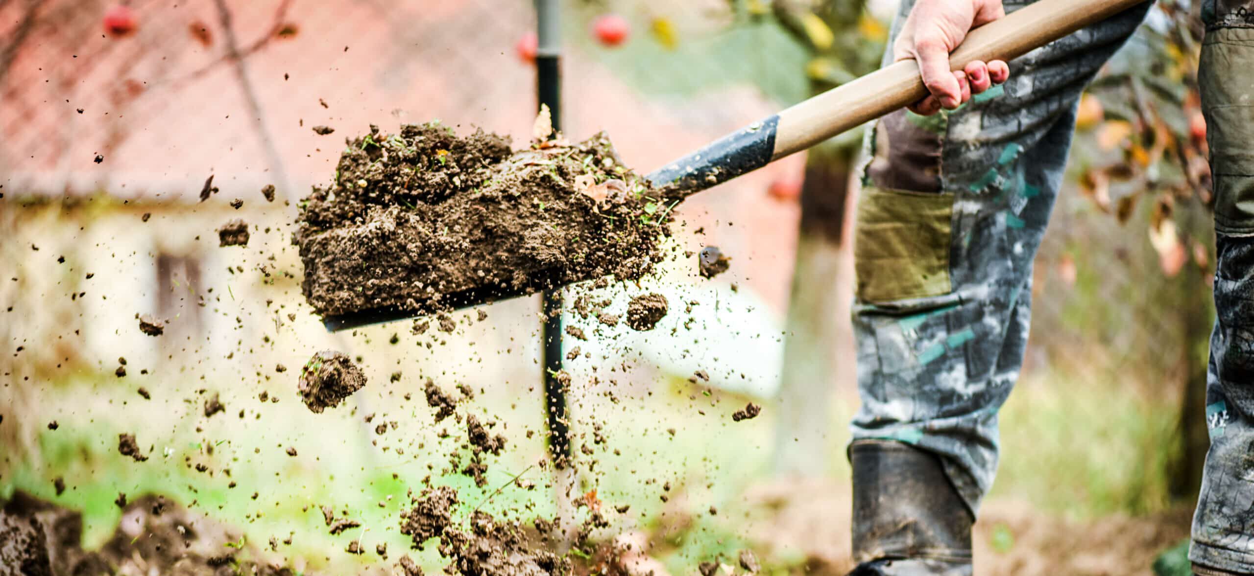 Arbeiter gräbt Erde mit Schaufel in einem bunten Garten, der Arbeiter lockert schwarzen Schmutz auf.